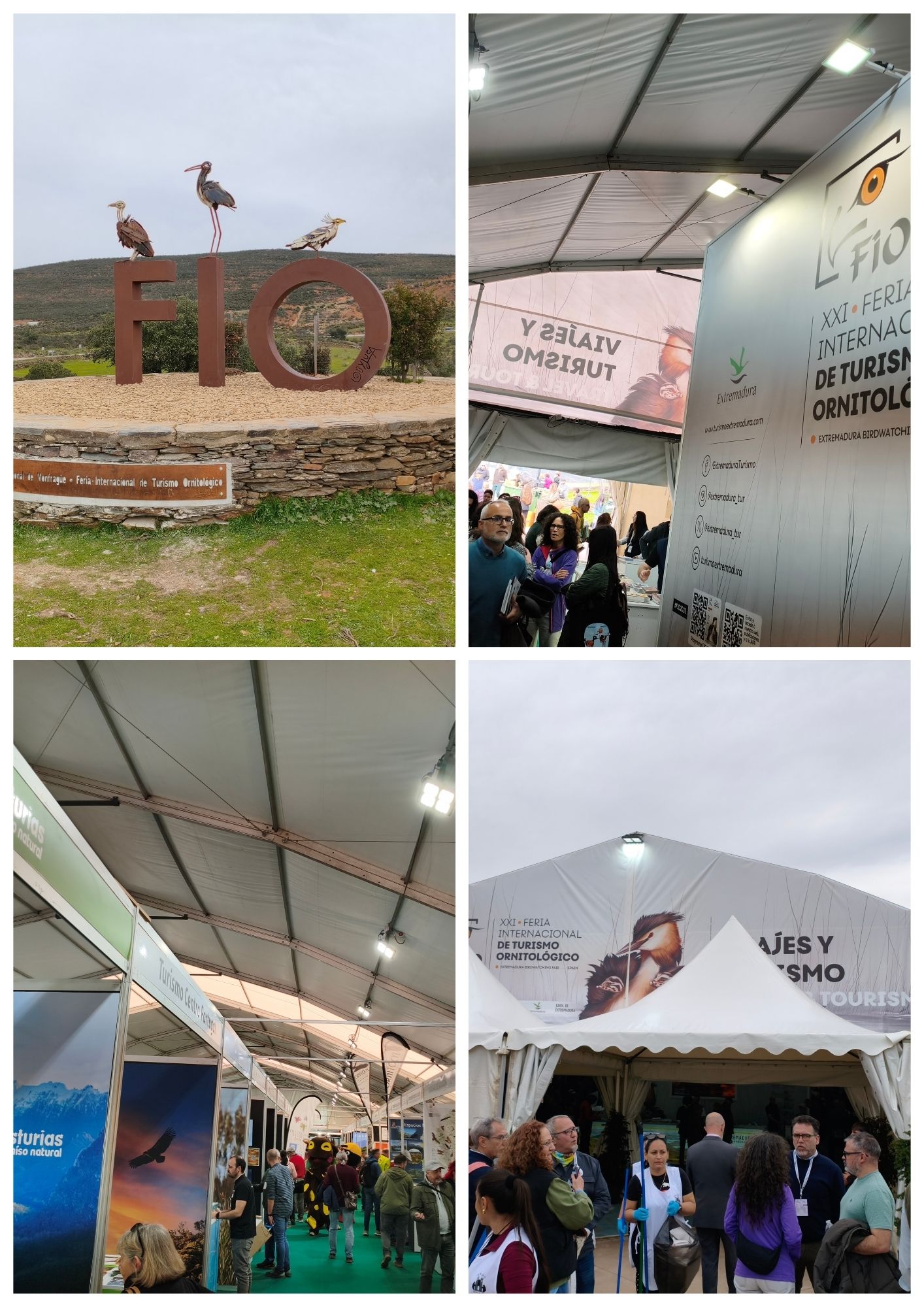 Feria Internacional de Turismo Ornitológico FIO 2026