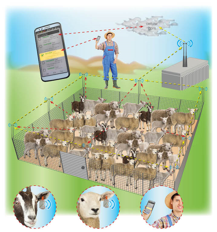 smart farming